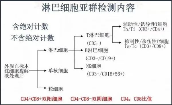 流式细胞临床应用与市场分析（建议收藏）